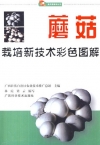 ManBetX体育