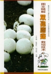 ManBetX体育