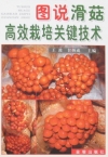 ManBetX体育