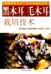 ManBetX体育