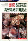 ManBetX体育