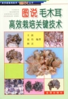 ManBetX体育