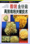 ManBetX体育