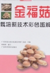 ManBetX体育