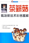 ManBetX体育