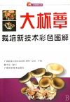 ManBetX体育