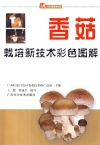 ManBetX体育