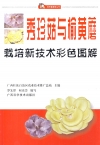 ManBetX体育