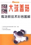 ManBetX体育
