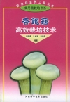 ManBetX体育