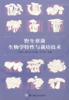 ManBetX体育