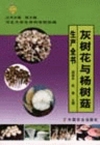 ManBetX体育