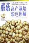 ManBetX体育