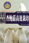 ManBetX体育