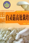ManBetX体育