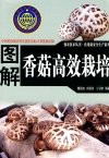 ManBetX体育