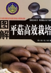 ManBetX体育