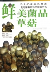ManBetX体育