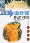 ManBetX体育