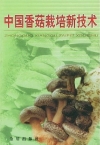 ManBetX体育