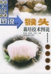 ManBetX体育