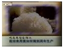 ManBetX体育
