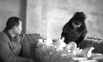 ManBetX体育