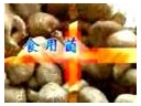 ManBetX体育