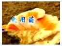 ManBetX体育