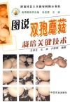 ManBetX体育