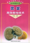 ManBetX体育