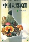 ManBetX体育