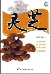 ManBetX体育