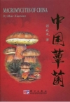 ManBetX体育