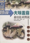 ManBetX体育
