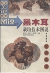 ManBetX体育