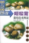 ManBetX体育