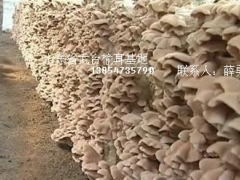 ManBetX体育
