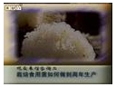 ManBetX体育