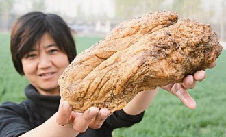ManBetX体育