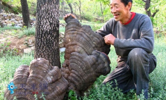 ManBetX体育