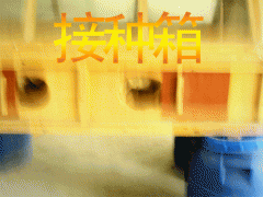 ManBetX体育