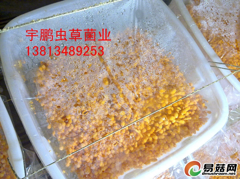 ManBetX体育
