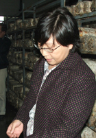 ManBetX体育