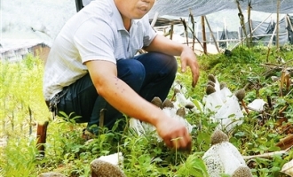 ManBetX体育