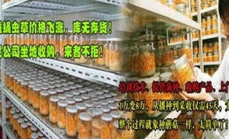 ManBetX体育