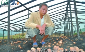 ManBetX体育