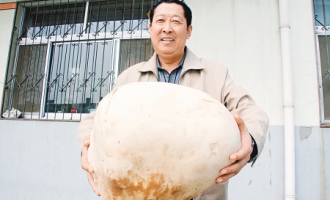 ManBetX体育