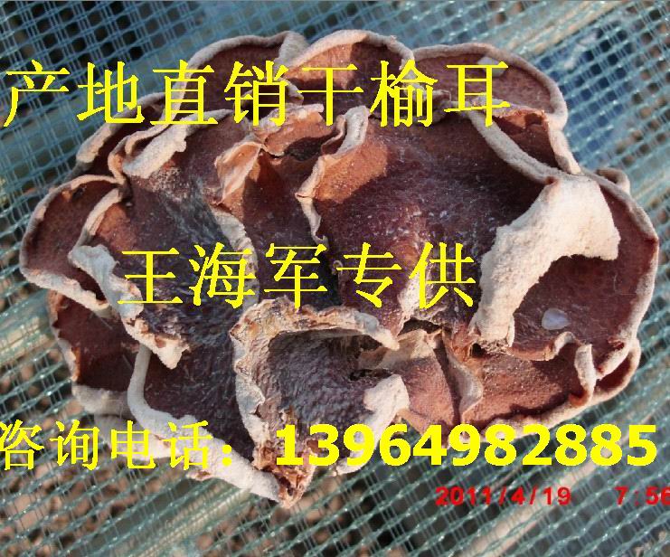 ManBetX体育