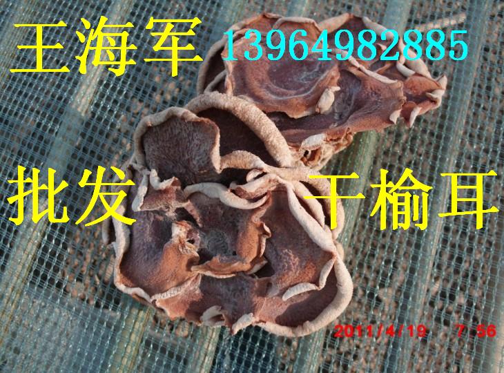 ManBetX体育